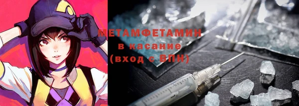 прущие грибы Балабаново