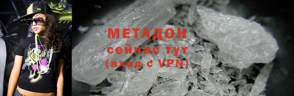прущие грибы Балабаново