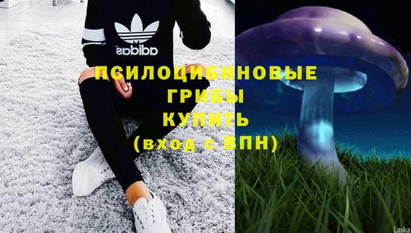 прущие грибы Балабаново