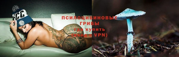 стафф Баксан