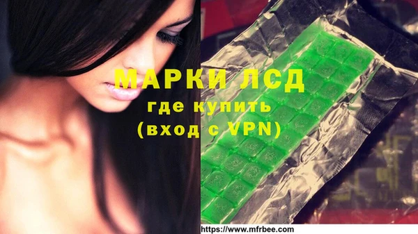 прущие грибы Балабаново