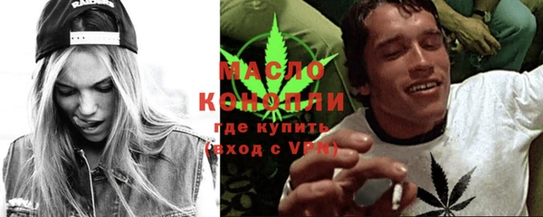 индика Нягань