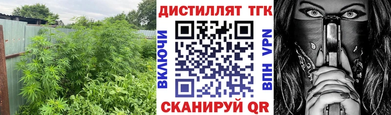 Дистиллят ТГК вейп с тгк Заозёрный