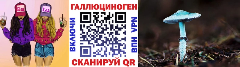 дарнет шоп  Заозёрный  Псилоцибиновые грибы Psilocybe 