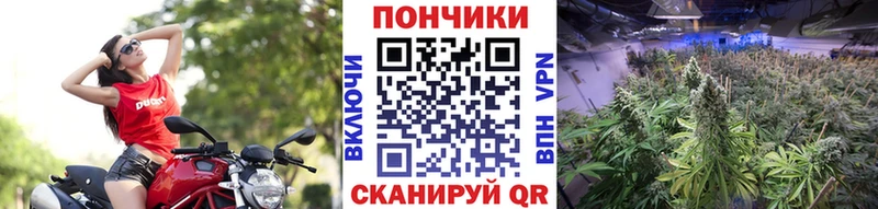 KRAKEN ссылки  магазин    Заозёрный  Марихуана White Widow 